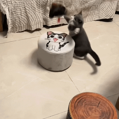 Φτερωτό Κυνήγι - Διαδραστικό Παιχνίδι για Γάτες