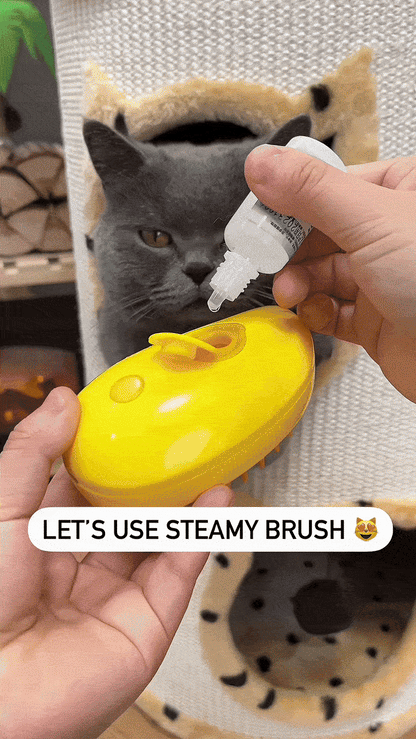 Ατμική Χτένα Καθαρισμού Γάτας